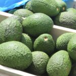 Curly Creek Avocados 2 fullsizeoutput 3ebf